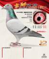 图片暂时未上传