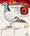 图片暂时未上传