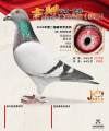 图片暂时未上传