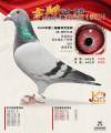 图片暂时未上传