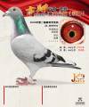 图片暂时未上传
