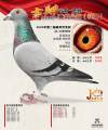 图片暂时未上传