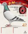 图片暂时未上传