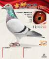 图片暂时未上传