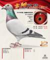 图片暂时未上传