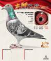 图片暂时未上传