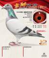 图片暂时未上传