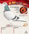 图片暂时未上传