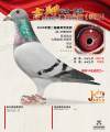 图片暂时未上传