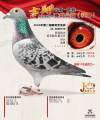 图片暂时未上传