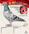 图片暂时未上传