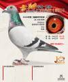 图片暂时未上传