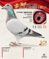 图片暂时未上传