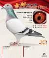 图片暂时未上传