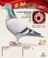 图片暂时未上传