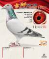 图片暂时未上传