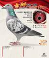 图片暂时未上传