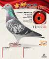 图片暂时未上传