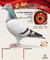 图片暂时未上传