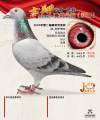 图片暂时未上传