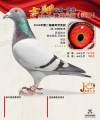 图片暂时未上传