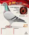 图片暂时未上传