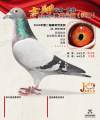 图片暂时未上传