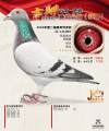图片暂时未上传