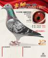 图片暂时未上传