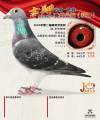 图片暂时未上传