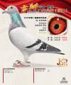 图片暂时未上传