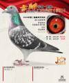 图片暂时未上传