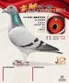 图片暂时未上传