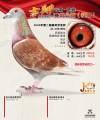 图片暂时未上传