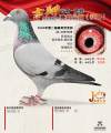 图片暂时未上传