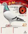 图片暂时未上传