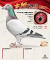图片暂时未上传