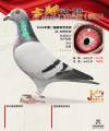 图片暂时未上传