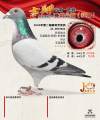 图片暂时未上传
