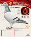 图片暂时未上传