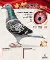 图片暂时未上传