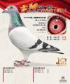图片暂时未上传