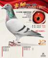 图片暂时未上传