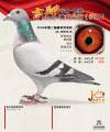 图片暂时未上传