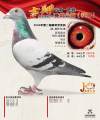 图片暂时未上传