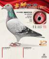 图片暂时未上传