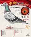 图片暂时未上传