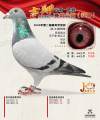 图片暂时未上传