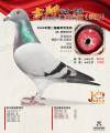 图片暂时未上传