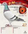 图片暂时未上传